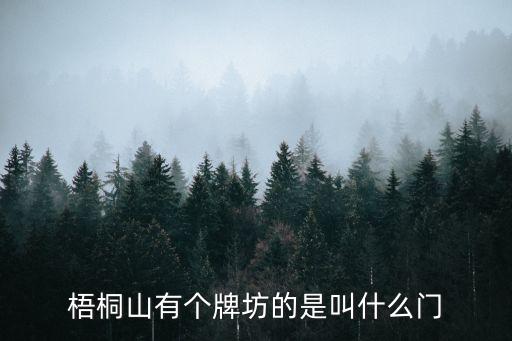 深圳大望村梧桐山牌坊，請問深圳梧桐山有幾個入口啊大望村這個是在哪的