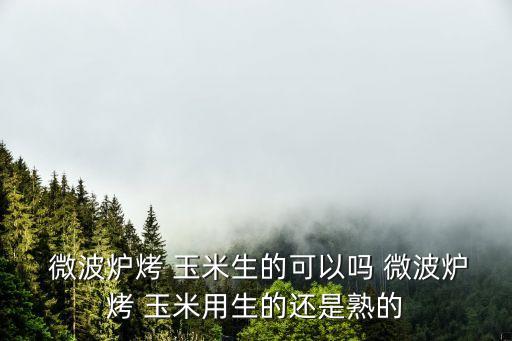  微波爐烤 玉米生的可以嗎 微波爐烤 玉米用生的還是熟的