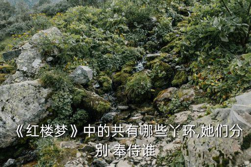 奉侍,奉侍侍奉侍從侍候服侍奉獻奉獻