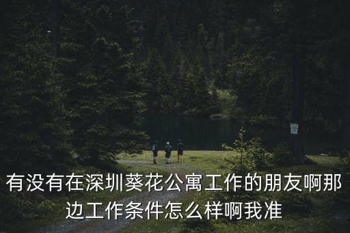 有沒有在深圳葵花公寓工作的朋友啊那邊工作條件怎么樣啊我準