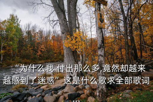 “為什么我 付出那么多,竟然卻越來越感到了迷惑”這是什么歌求全部歌詞...