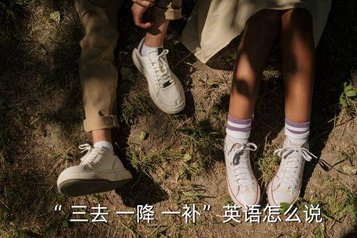 “ 三去 一降 一補(bǔ)”英語(yǔ)怎么說(shuō)