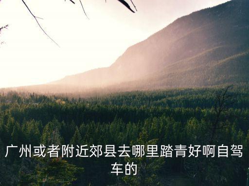 廣州或者附近郊縣去哪里踏青好啊自駕車的