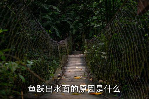 魚躍出水面的原因是什么