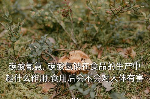 碳酸氫鈉是什么東西,碳酸氫鈉是什么?