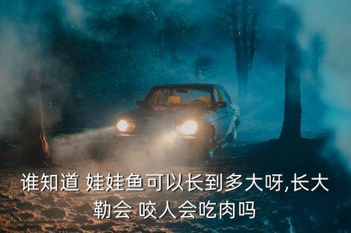 誰知道 娃娃魚可以長到多大呀,長大勒會 咬人會吃肉嗎