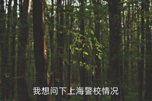 上海市警察學院通過率，上海警察學員政審要多長時間