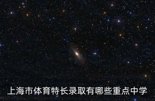 上海市體育特長錄取有哪些重點中學