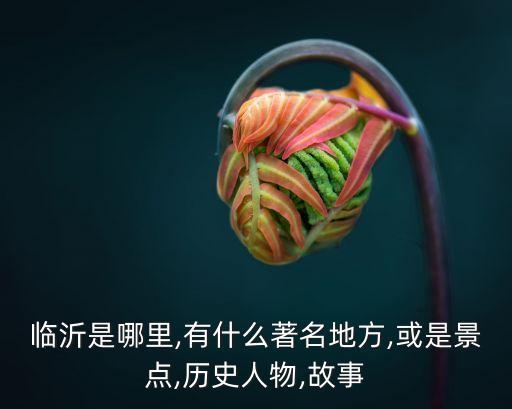 孟良崮在哪里