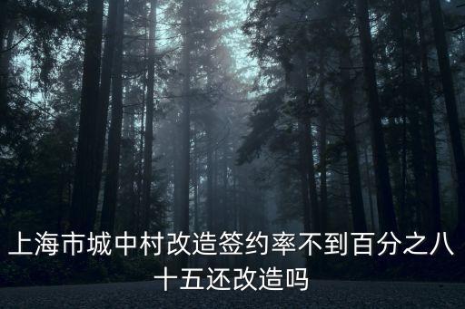 上海市城中村改造試點(diǎn)，城中村改造工程