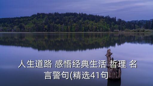 感悟人生哲理名言,勵志名言!一文讀懂!