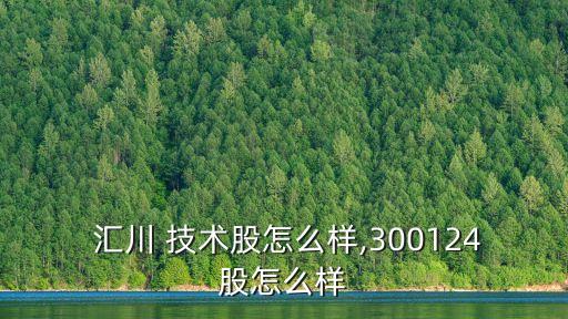  匯川 技術股怎么樣,300124股怎么樣