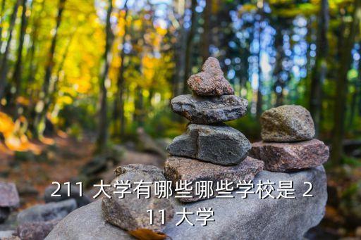 中國211大學名單