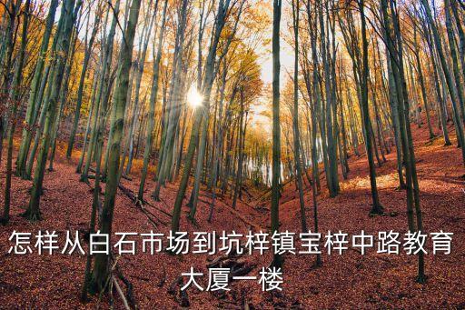怎樣從白石市場到坑梓鎮寶梓中路教育大廈一樓