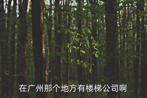 廣州金雅苑樓梯樓嗎，在廣州那個地方有樓梯公司啊