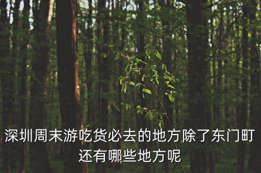 深圳周末游吃貨必去的地方除了東門町還有哪些地方呢
