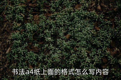 書法a4紙上面的格式怎么寫內容