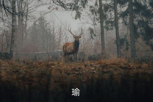 既生瑜