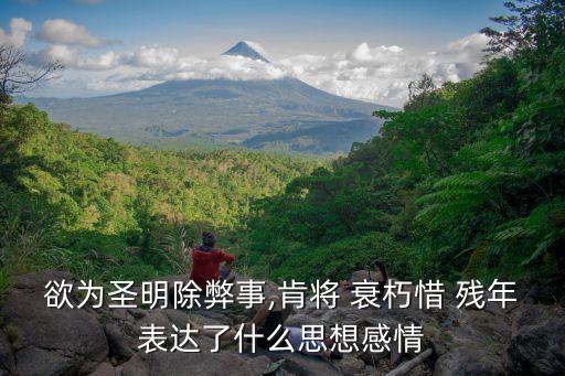 欲為圣明除弊事,肯將 衰朽惜 殘年表達了什么思想感情