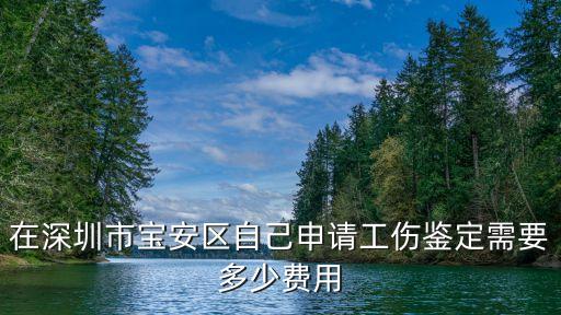 在深圳市寶安區(qū)自己申請(qǐng)工傷鑒定需要多少費(fèi)用