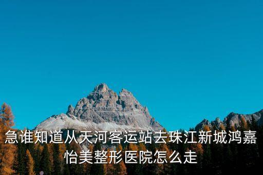 廣州鴻嘉怡美圖片，急誰知道從天河客運站去珠江新城鴻嘉怡美整形醫院怎么走
