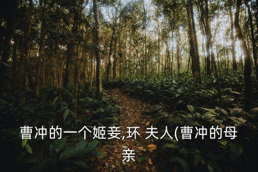曹沖的一個(gè)姬妾,環(huán) 夫人(曹沖的母親