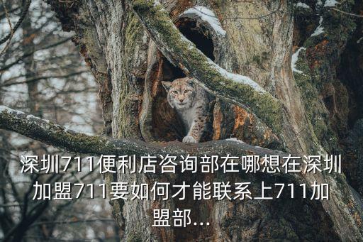 深圳711便利店咨詢部在哪想在深圳加盟711要如何才能聯系上711加盟部...