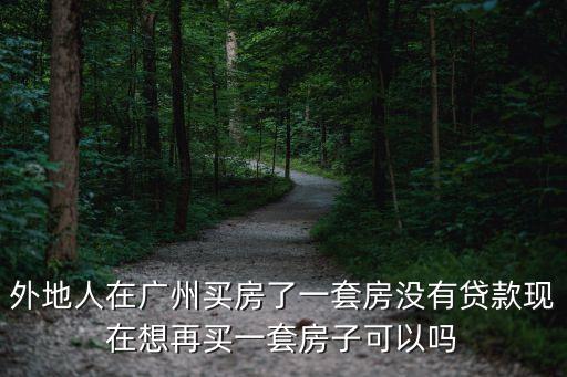 外地人在廣州買房了一套房沒有貸款現在想再買一套房子可以嗎