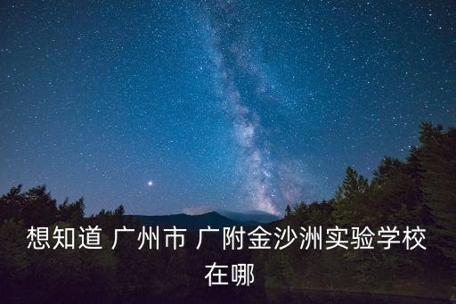 想知道 廣州市 廣附金沙洲實驗學校 在哪
