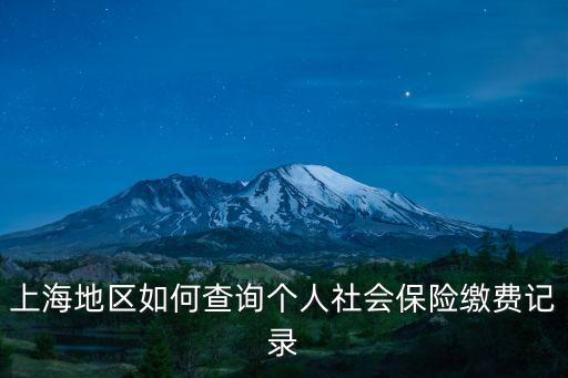 上海地區如何查詢個人社會保險繳費記錄