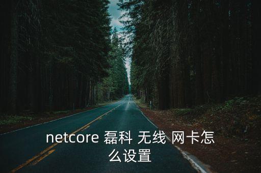 netcore 磊科 無線 網(wǎng)卡怎么設(shè)置