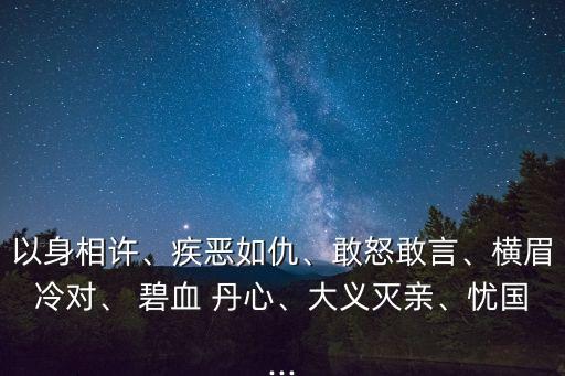 以身相許、疾惡如仇、敢怒敢言、橫眉冷對、 碧血 丹心、大義滅親、憂國...