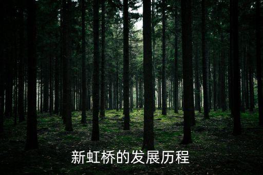 新虹橋的發展歷程