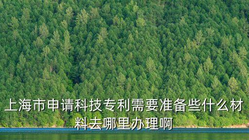 上海市知識產權企業申請表，上海市申請科技專利需要準備些什么材料去哪里辦理啊