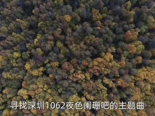 深圳1062夜色闌珊歌曲，尋找深圳1062夜色闌珊吧的主題曲