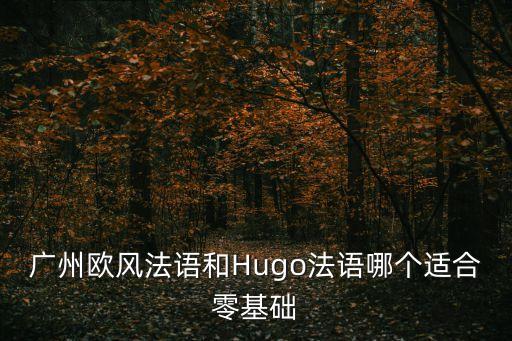 廣州歐風法語怎樣，廣州歐風法語和Hugo法語哪個適合零基礎