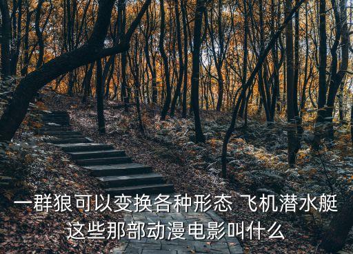 一群狼可以變換各種形態 飛機潛水艇這些那部動漫電影叫什么