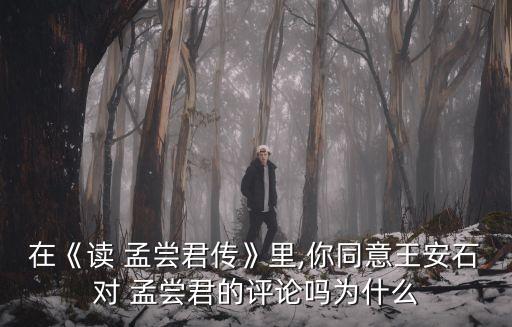 孟嘗君傳,《孟嘗君傳》第十五名文:姓田氏