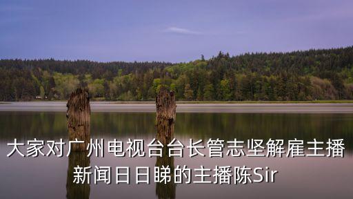 大家對廣州電視臺臺長管志堅解雇主播新聞日日睇的主播陳Sir