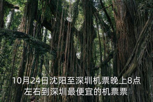 10月24日沈陽至深圳機票晚上8點左右到深圳最便宜的機票票
