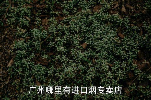 廣州哪里有進口煙專賣店