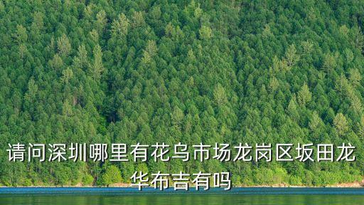 請(qǐng)問深圳哪里有花烏市場龍崗區(qū)坂田龍華布吉有嗎
