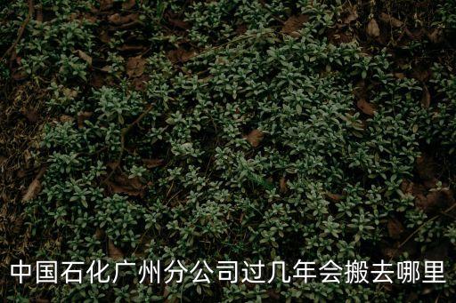 廣州石化廠能搬遷么，中國石化廣州分公司過幾年會搬去哪里