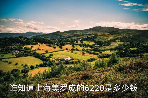上海市亦成皮劃艇，上海哪里有賣充氣皮劃艇