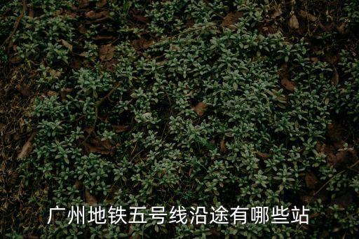 廣州地鐵五號線沿途有哪些站