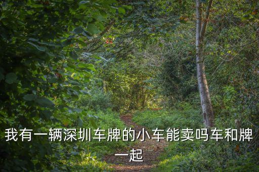 賣深圳車牌和車，我有一輛深圳車牌的小車能賣嗎車和牌一起