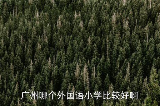 廣州哪個外國語小學比較好啊