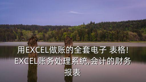 用EXCEL做賬的全套電子 表格!EXCEL賬務處理系統,會計的財務報表