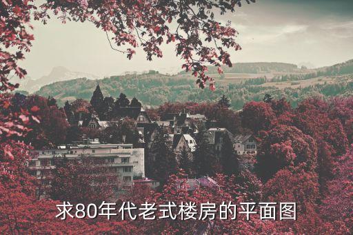 深圳80年代的房子圖片大全，急深圳特區(qū)著名建筑最好配圖片