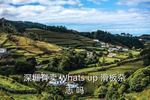 深圳有賣 Whats up 滑板雜志 嗎